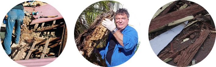 BP Direct Pest Control Perth BP Direct Pest Control Perth