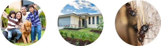 Residential Property